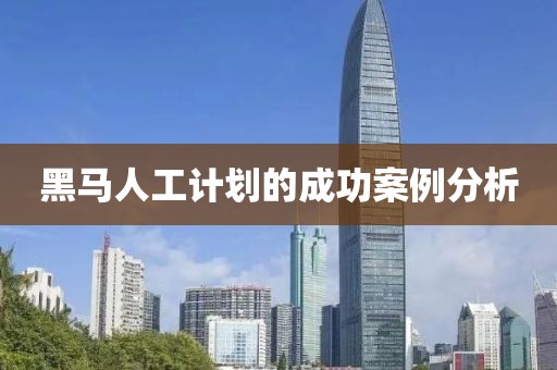 黑马人工计划的成功案例分析