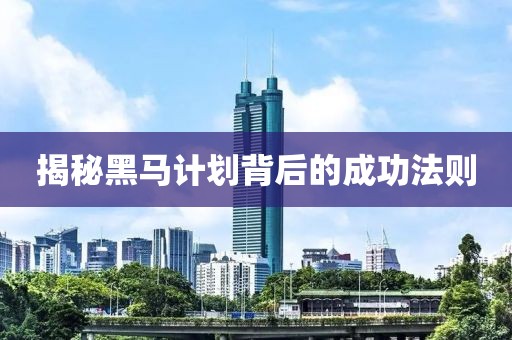 揭秘黑马计划背后的成功法则