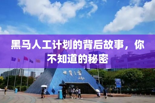 黑马人工计划的背后故事，你不知道的秘密