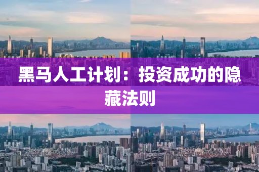 黑马人工计划：投资成功的隐藏法则