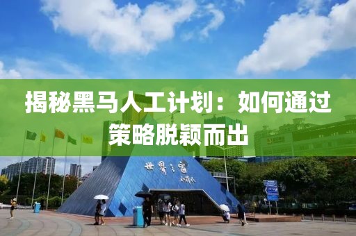 揭秘黑马人工计划：如何通过策略脱颖而出