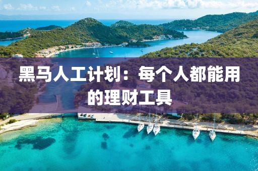 黑马人工计划：每个人都能用的理财工具